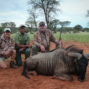 Namibia Hunt Blue Wildebeest