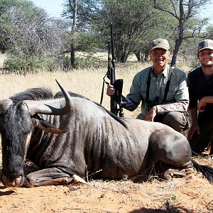 Blue Wildebeest Hunt Namibia