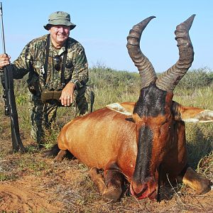 Namibia Hunt Red Hartebeest