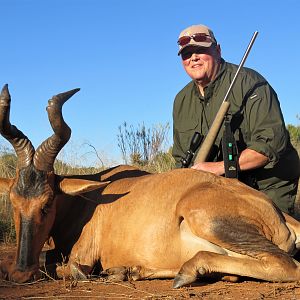 Hunting Red Hartebeest in South Africa