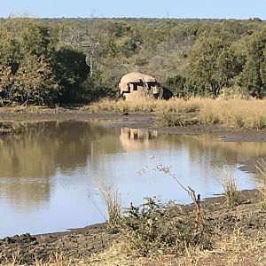 Hunting Blind