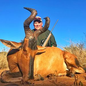 Red Hartebeest Hunt South Africa