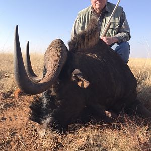 South Africa Hunting Black Wildebeest