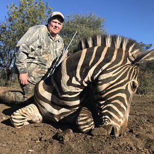 Hunting Hartmann's Mountain Zebra in South Africa