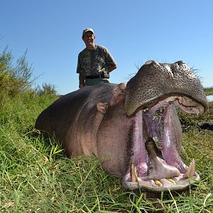 South Africa Hunt Hippo