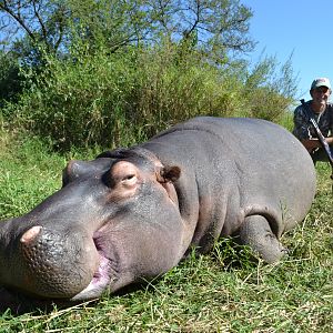 Hippo Hunting in South Africa