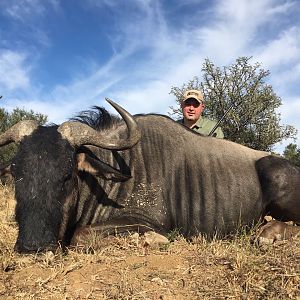 Hunt Blue Wildebeest South Africa