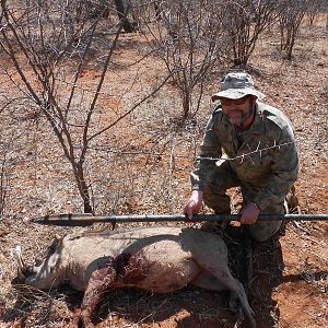 Spear Hunting Warthog South Africa