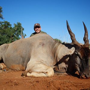 Eland Hunting South Africa