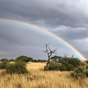 Hunting in the rain in June