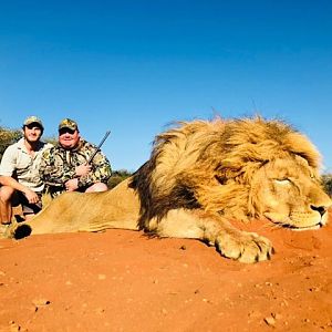 Hunt Lion in South Africa