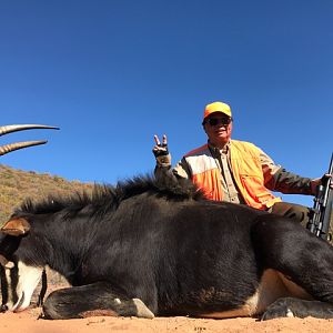 Sable Antelope Hunt South Africa