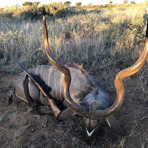 Hunting Kudu in South Africa