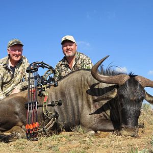 Blue Wildebeest Bow Hunt South Africa