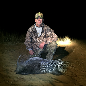 African Porcupine Hunting in South Africa