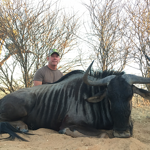 Blue Wildebeest Hunt South Africa