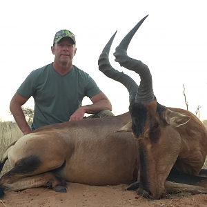 Hunting Red Hartebeest in South Africa