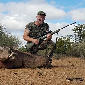 Hunting Warthog South Africa