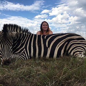 Hunt Burchell's Plain Zebra South Africa