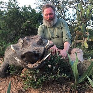 Hunting Warthog South Africa