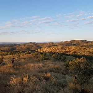 Namibia Hunt