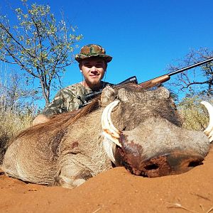 Hunting Warthog South Africa