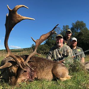 South Africa Hunting Fallow Deer