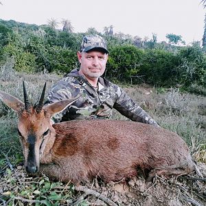 South Africa Hunting Duiker