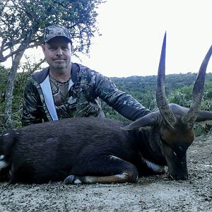 Bushbuck Hunt in South Africa