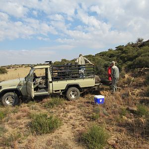 South Africa Hunting Waterbuck