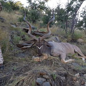 Kudu Hunting Namibia