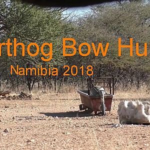 Warthog Bow Hunt Namibia