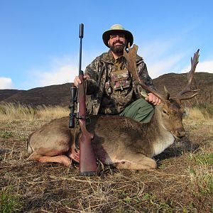 Hunt Fallow Deer in South Africa