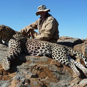 Namibia Hunt Leopard