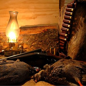 Guineafowl Hunting South Africa