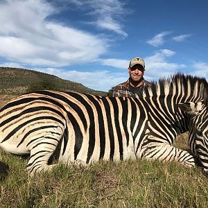 South Africa Hunting Burchell's Plain Zebra