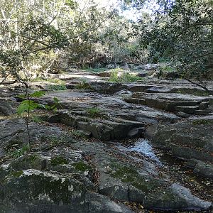 Hunting Area South Africa