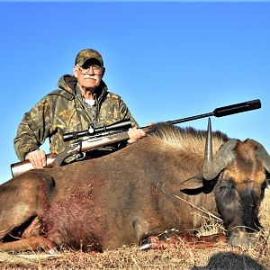 black wildebeest in south africa