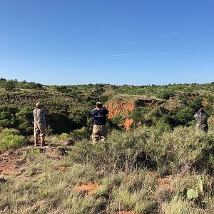 Hunting in Texas