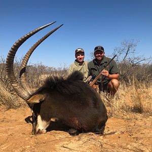 South Africa Hunting 42" Inch Sable Antelope