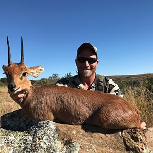 Steenbok Hunting in South Africa