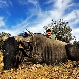 Blue Wildebeest Hunt in South Africa