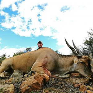 Hunting Eland South Africa