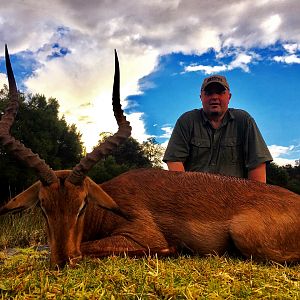 Impala Hunting in South Africa