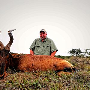 South Africa Hunting Red Hartebeest