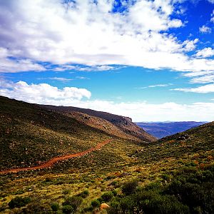 Hunting Area Karoo South Africa