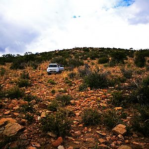 Hunting in the Karoo South Africa