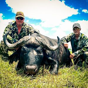 Hunting Buffalo