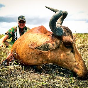 Hunt Lichtenstein's Hartebeest