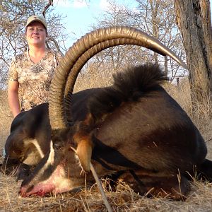 Sable Antelope Hunting